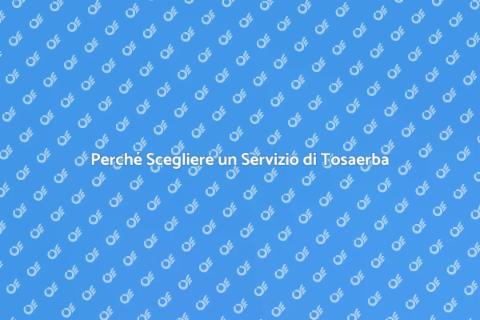 Servizio di Tosaerba per Giardini