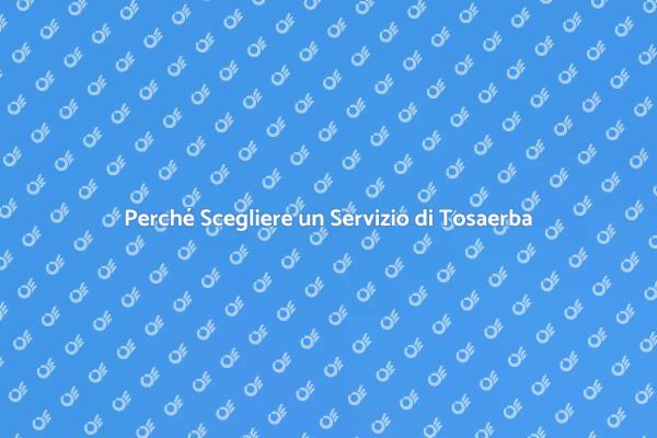 Tosaerba: Il Segreto per un Giardino Perfetto