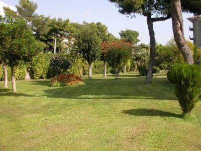 Creoverde  - Foto 6