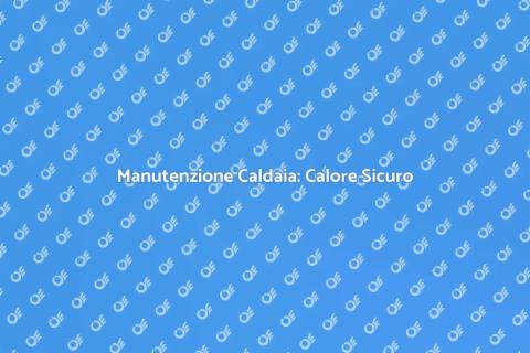 Assistenza Caldaia: Comfort Invernale