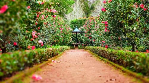 Come scegliere il giardiniere giusto per te