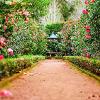 Come scegliere il giardiniere giusto per te