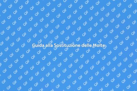 Sostituzione Molle Porta Garage