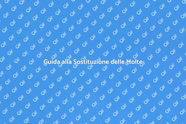 Come Sostituire le Molle della Porta