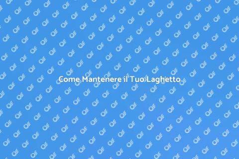 Manutenzione Laghetto da Giardino