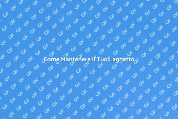 Manutenzione Efficace per Laghetti