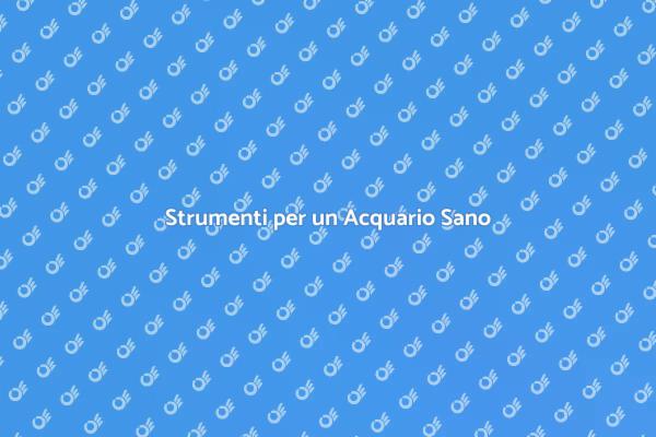 Mantieni sano il tuo acquario