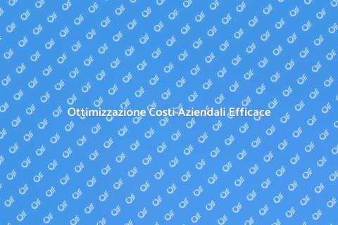 Consulenza per Ottimizzare i Costi