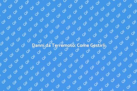 Gestione Danni da Terremoto: Guida