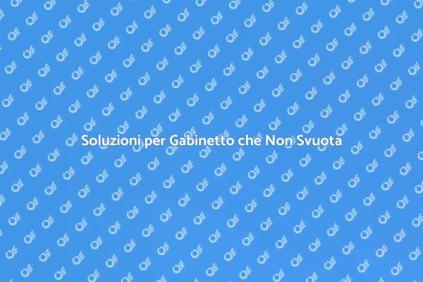 Come Aggiustare un Gabinetto Bloccato