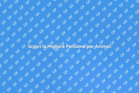 Pensione per Animali: Comfort Assicurato