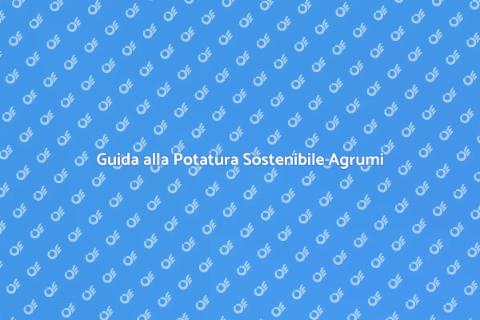 Potatura Sostenibile Agrumi in Giardino