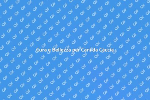 Toelettatura per Cani da Caccia
