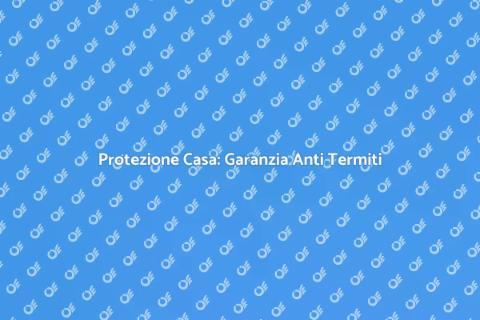 Garanzia Anti Termiti: Proteggi Casa