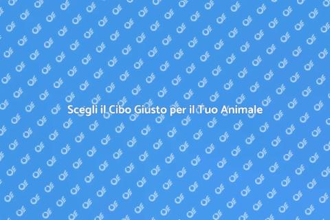Nutrizione Animale: Il Tuo Compagno Ideale