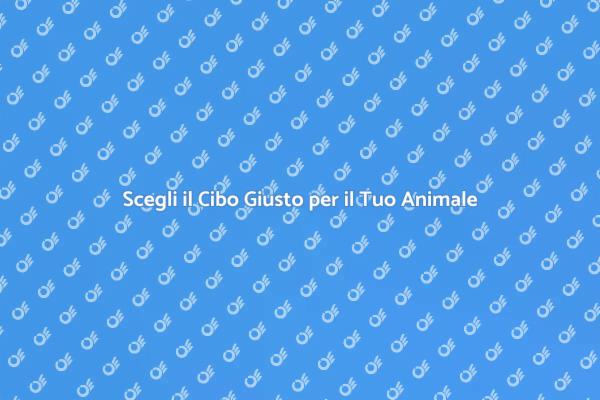 Nutrizione Essenziale per i Tuoi Animali