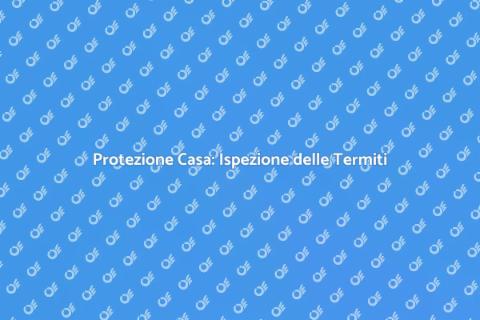Ispezione Termite: Proteggi la Tua Casa