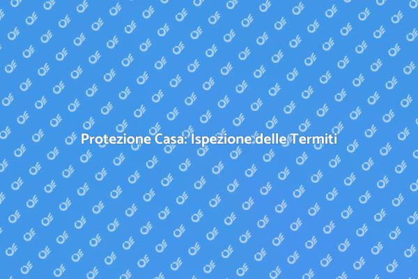 Termiti: Importanza dell'Ispezione