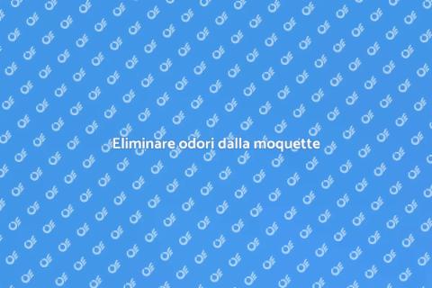 Rimozione odori dalla moquette