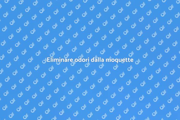 Liberati dagli odori della moquette