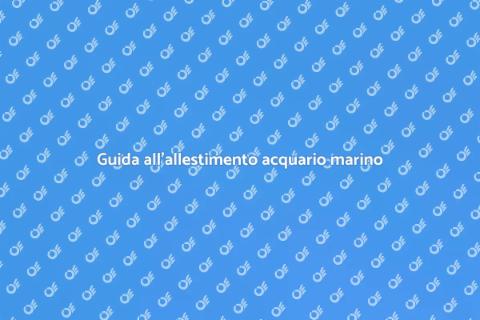 Allestimento di un acquario marino
