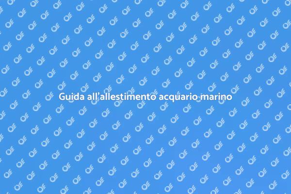 Creare il tuo acquario marino ideale