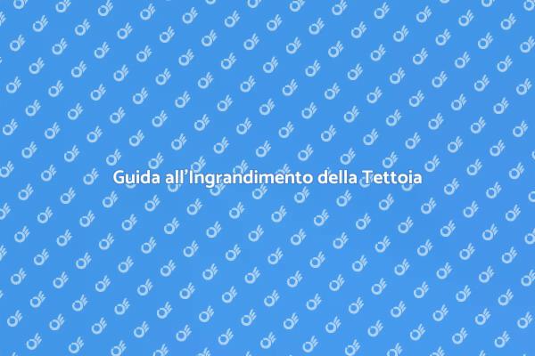 Espandi la Tua Tettoia in Legno