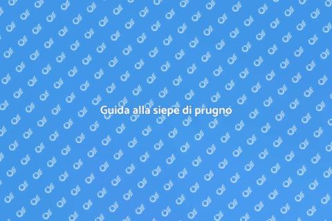 Progettare una siepe di prugno