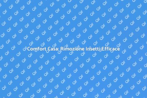 Rimozione Insetti: Comfort Garantito