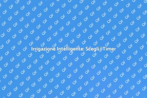 Timer Irrigazioni: Efficienza e Sostenibilità