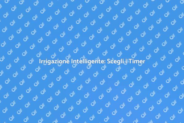 Irrigazione Efficiente con Timer Innovativi