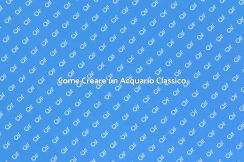 Acquario Classico: Guida alla Creazione