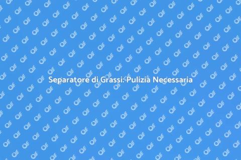 Pulizia Separatore di Grassi Essenziale