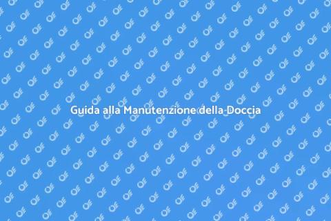 Manutenzione e Riparazione Doccia