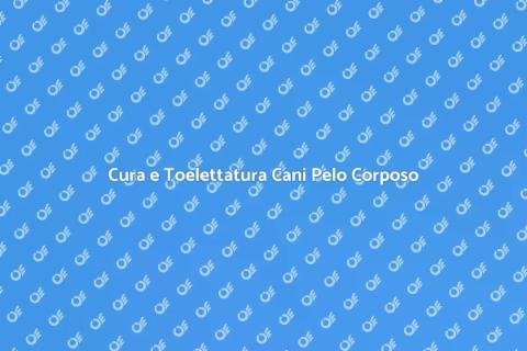 Toelettatura Cani Pelo Corposo