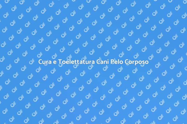 Toelettatura Professionale per Cani