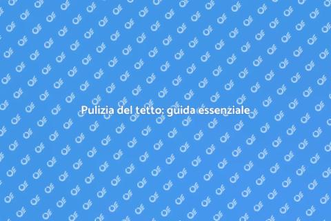Rimuovere sporcizia dal tetto
