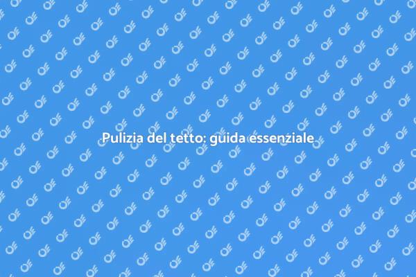 Manutenzione tetto: rimuovere la sporcizia