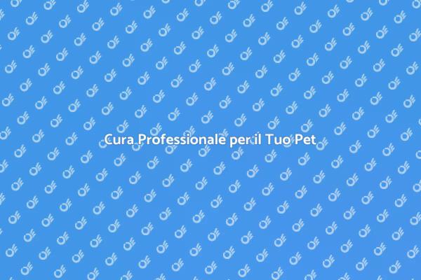 Il Miglior Pet Sitter per il Tuo Amico