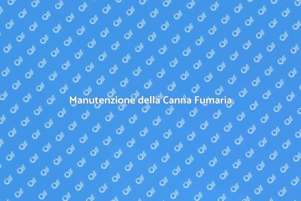 Guida alla Manutenzione della Canna Fumaria