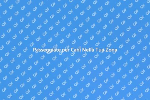 Dog Walking Nella Tua Zona