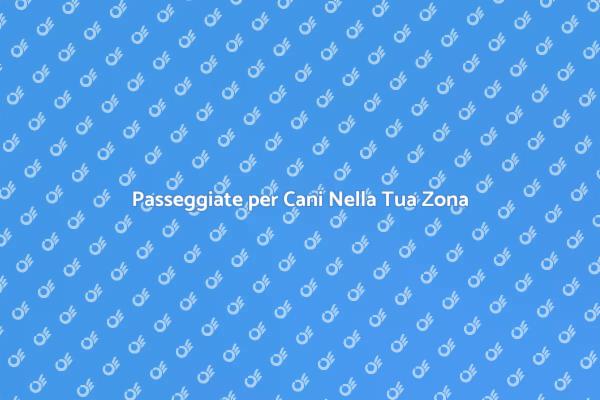 Servizio di Dog Walking nella Tua Area