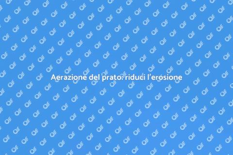 Aerare il prato contro l'erosione