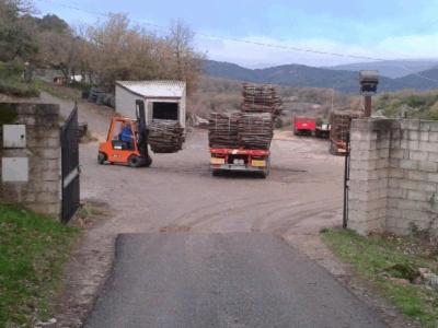 Autotrasporti Beccu Quirico e Figli  - Foto 6