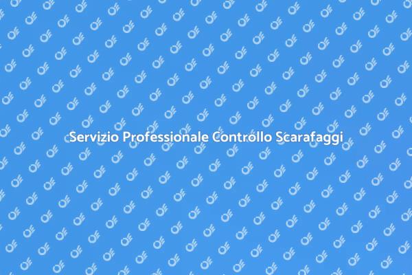 Liberati dagli Scarafaggi Oggi!