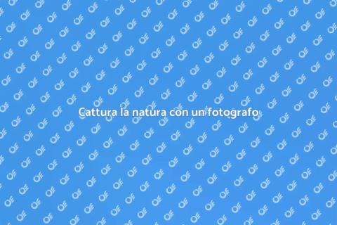 Ingaggiare un fotografo naturalista