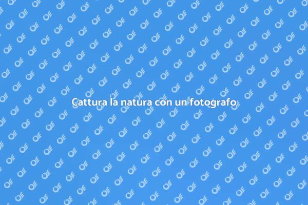 Ingaggia un fotografo per la natura