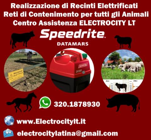 Electrocity lt - Foto 11