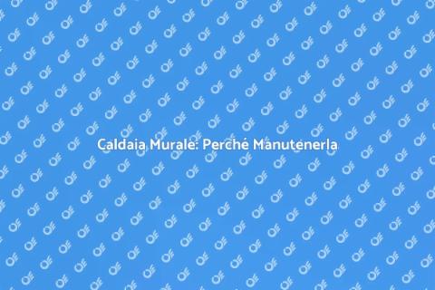 Manutenzione Caldaia Murale: Importanza