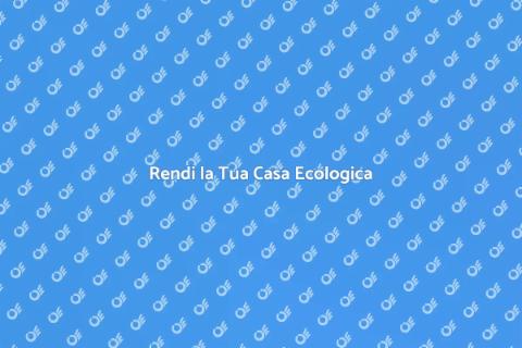 Pulizia Ecologica della Casa